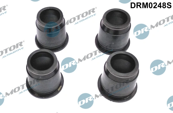 Seal, injector holder